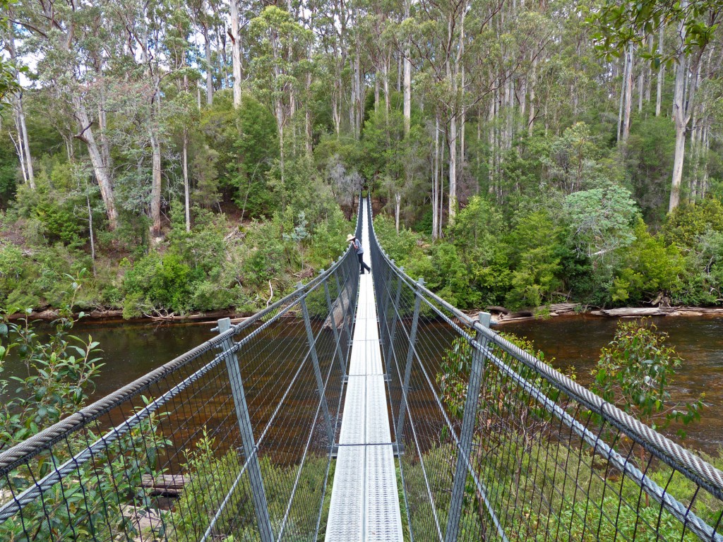 Alina auf Hängebrücke beim Tahune AirWalk, Tasmanien