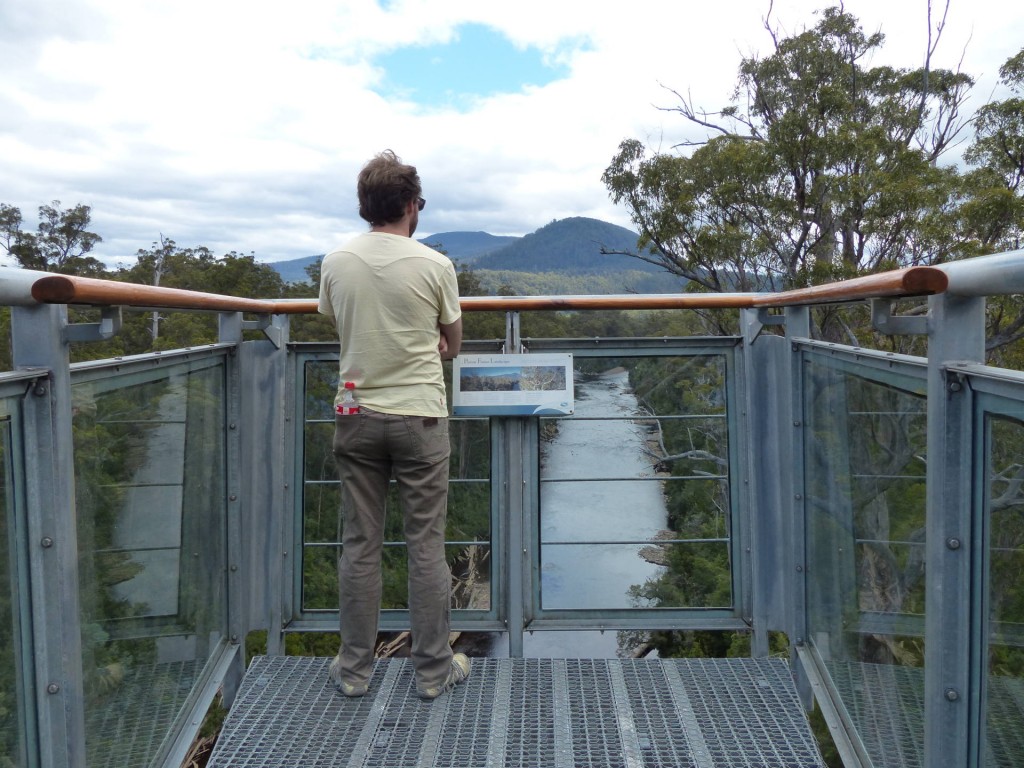 Robert auf der Aussichtsplatform des Tahune AirWalk