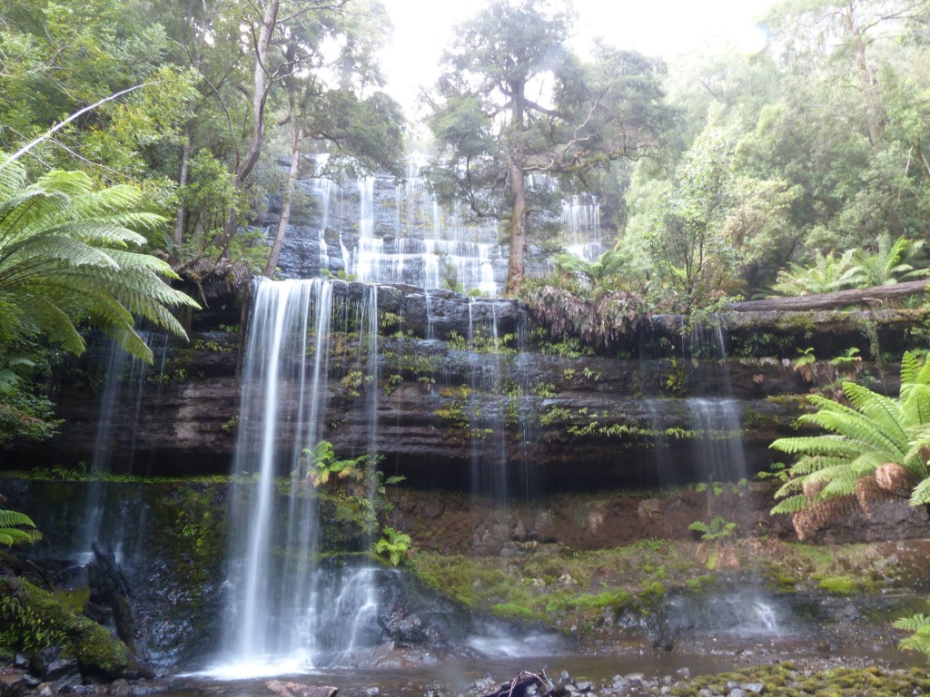 Russel Falls Wasserfall, Tasmanien