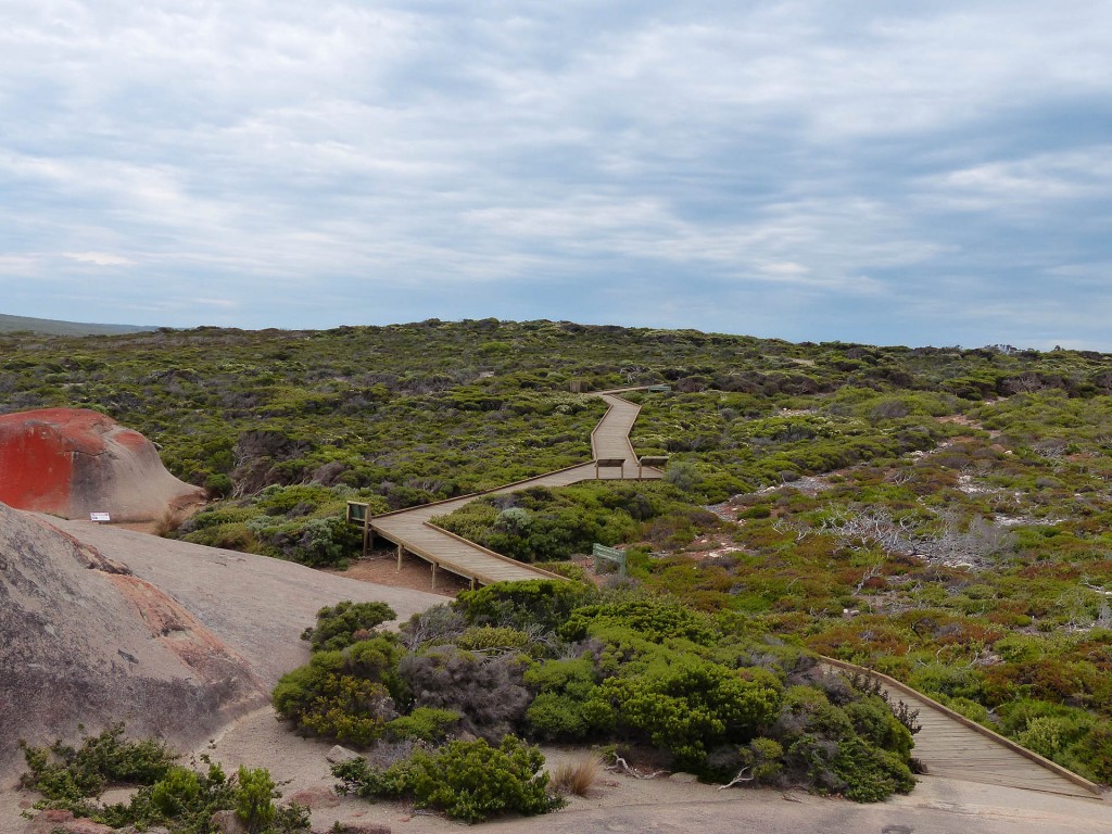 Typischer australischer barrierefreier Boardwalk auf dem Weg zu den Remarkable Rocks