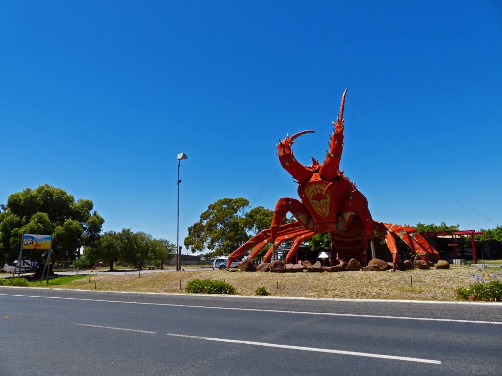 Big Lobster in Kingston SE, SA