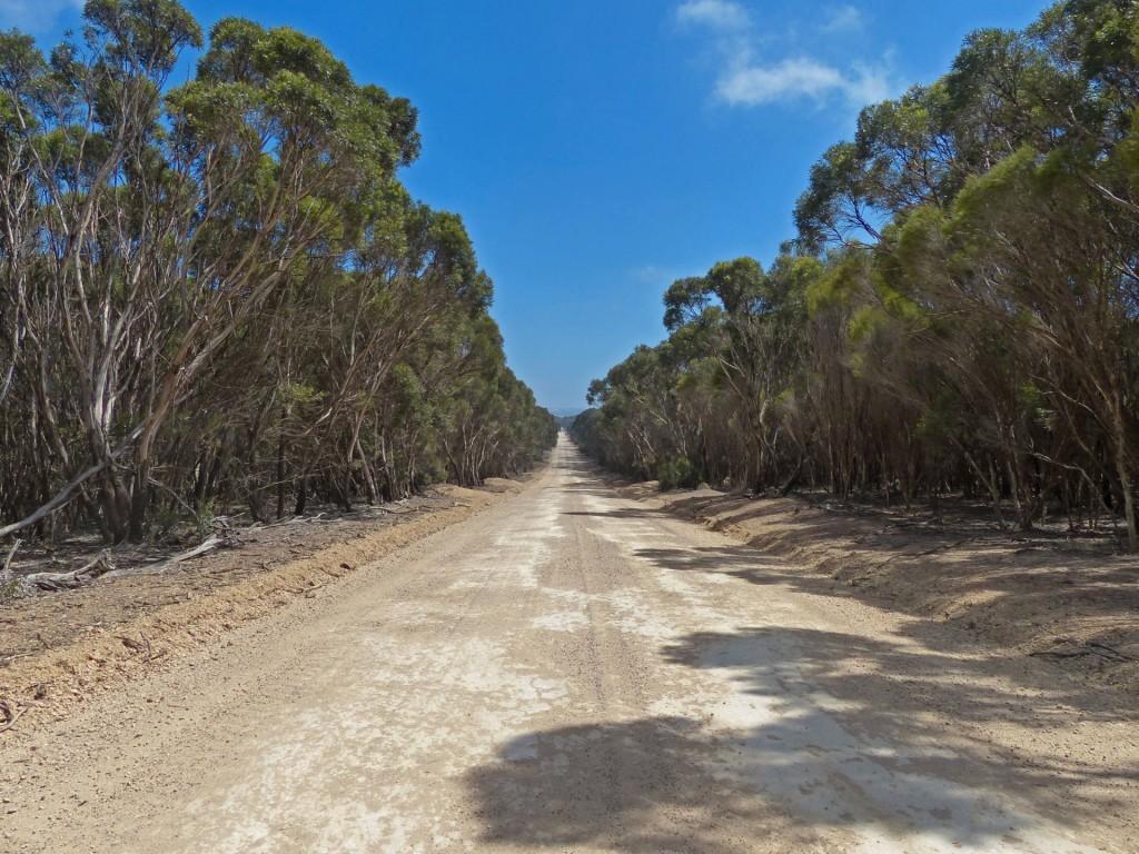 typische Gravel Roadauf Kangaroo Island